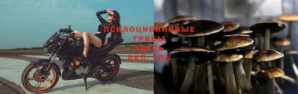 эйфоретик Лагань